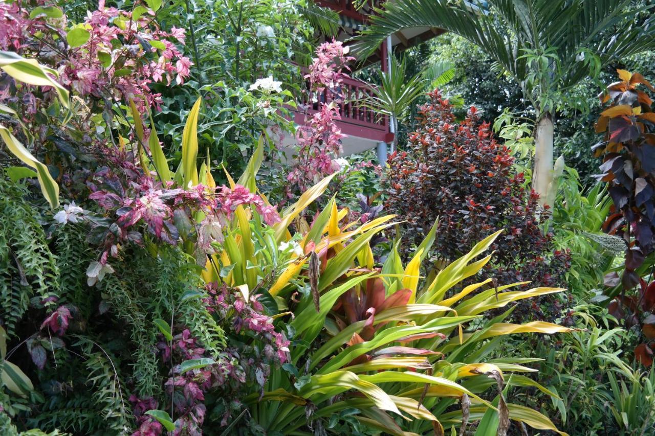 Muri Retreat Apartments Rarotonga Exterior foto
